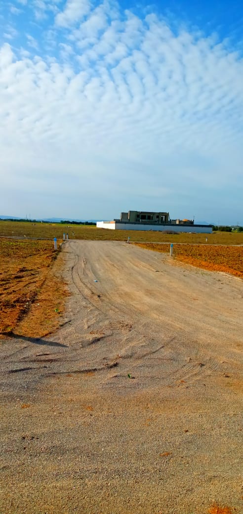 Lots des terrains à vendre à  Hammamet-Sud :