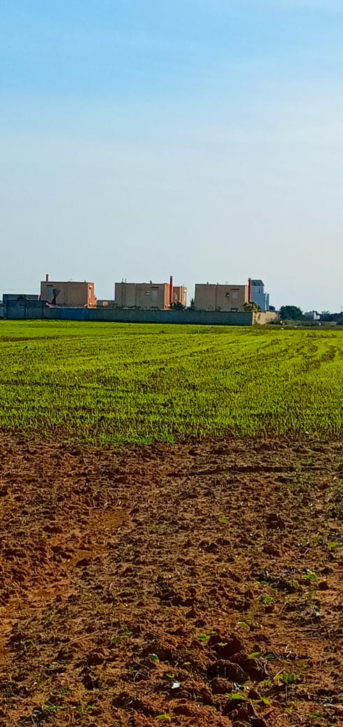 Lots des terrains à vendre à  Hammamet-Sud