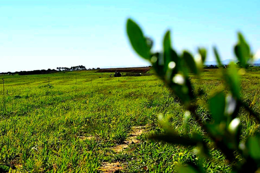 224808419_2714532962177827_4024027002170462305_n