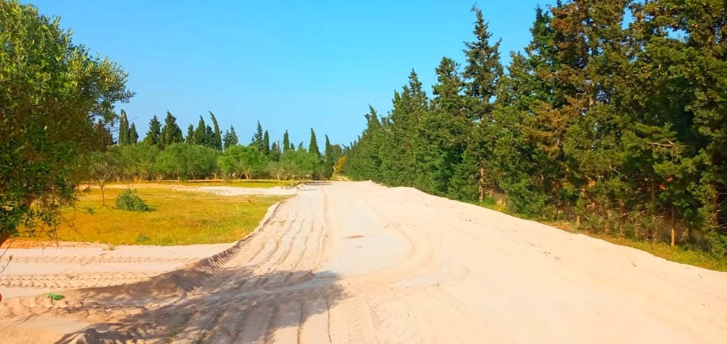 220333428_1768085416703687_3226311044974017517_n