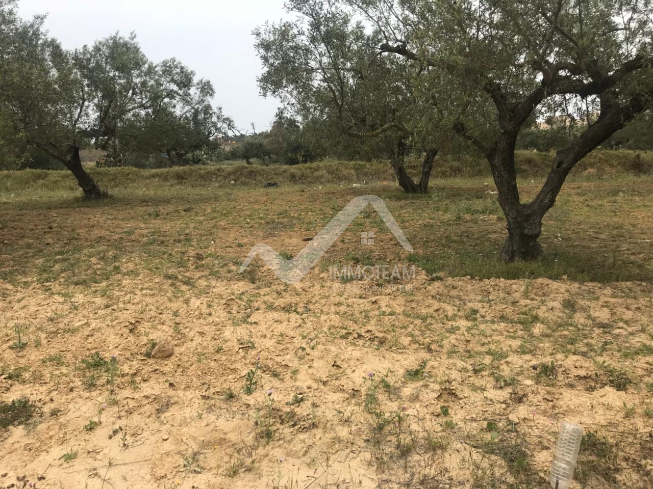 b737007e-25dc-4525-a385-e6764e53ecf3