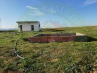 221913836_2714532908844499_6518895413773509446_n