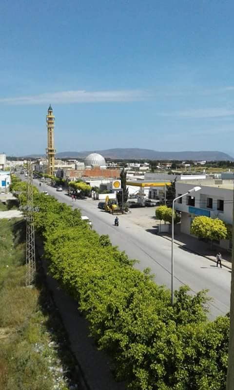 lotissement titree  constructible plage dar alouch ref t1