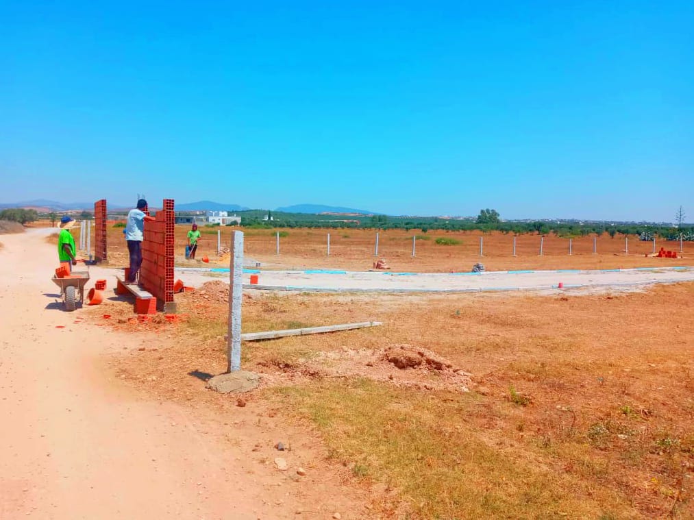 WhatsApp Image 2021-06-16 at 11.29.43