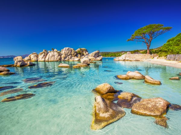 أرض قريبة من البحر