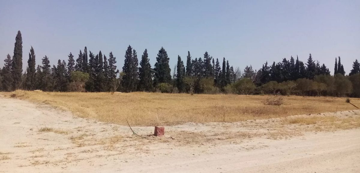 Des lots terrains à vendre à 3 minutes de Jinene-Hammamet :