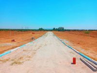 WhatsApp Image 2021-06-16 at 11.29.45