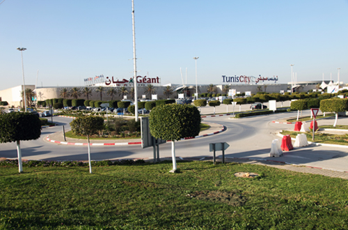 terrain constructible  à chorfech sidi thabet département Ariana -tunis: