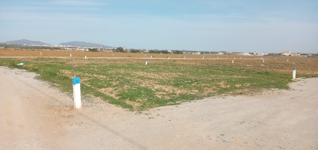 Lots des terrains à vendre à  Hammamet-Sud :