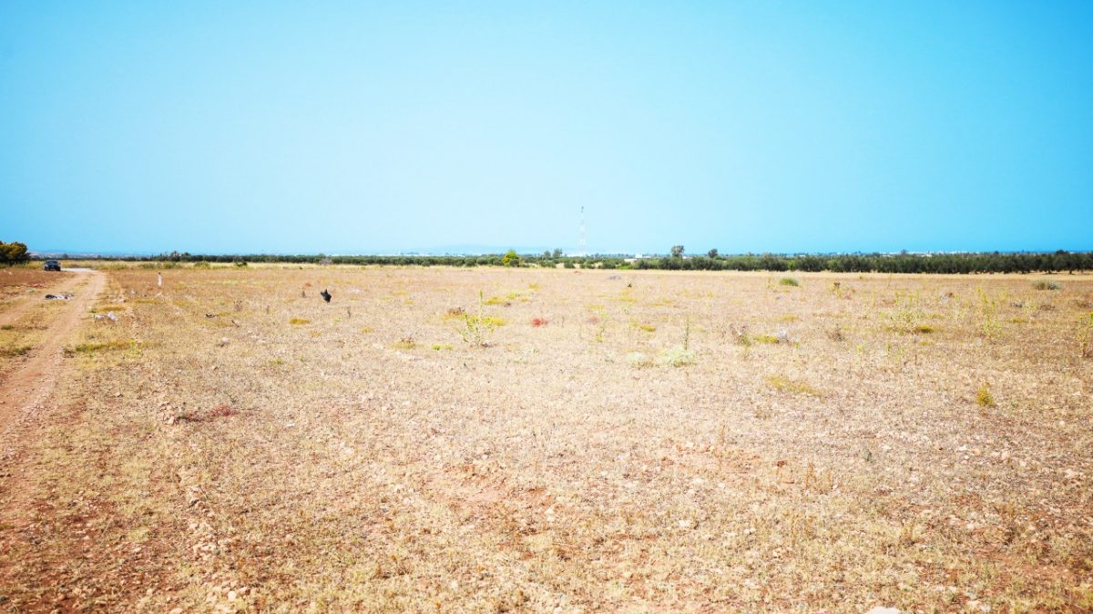 des terrains à vendre à  Hammamet Sud