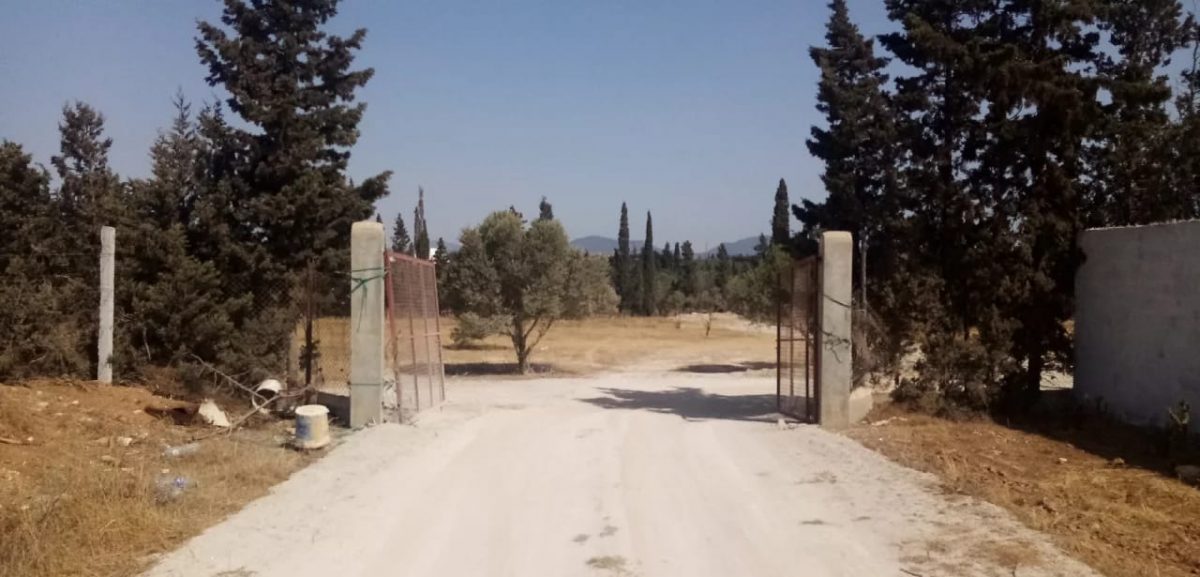 des terrains à vendre à 3 minutes de Jinene-Hammamet :