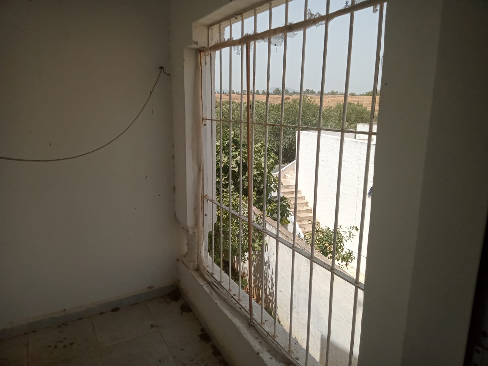 WhatsApp Image 2021-08-13 at 13.12.28 (1)