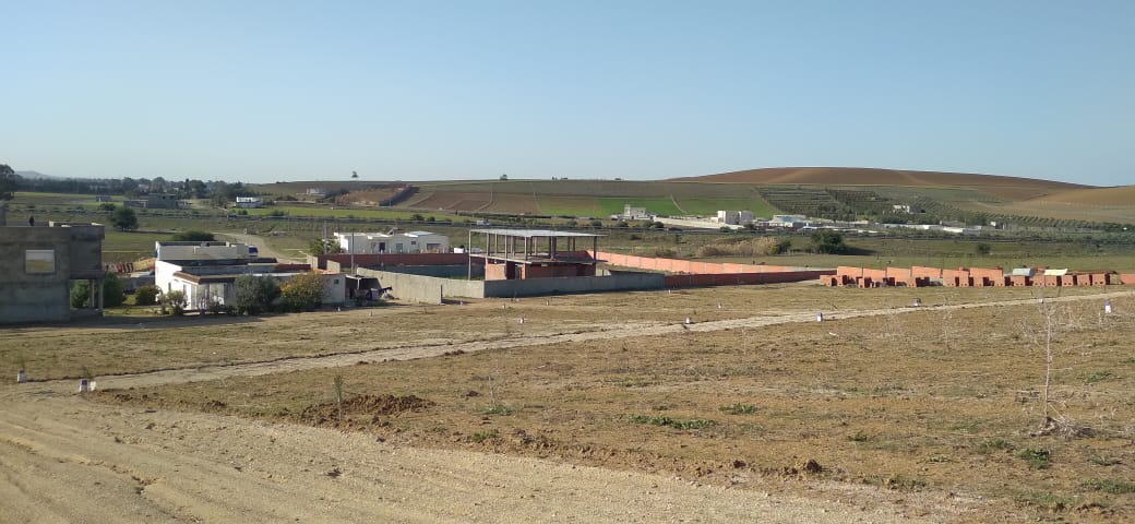 011c497c-3510-491a-8b84-36131d9340b2