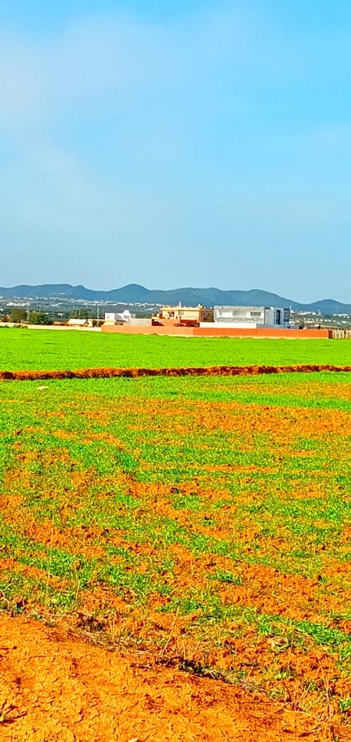 Lots des terrains à vendre Pres de   Manaret el hammamet