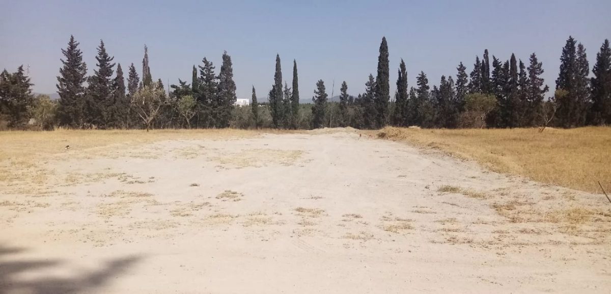 Lots des terrains à vendre à  Hammamet-Sud