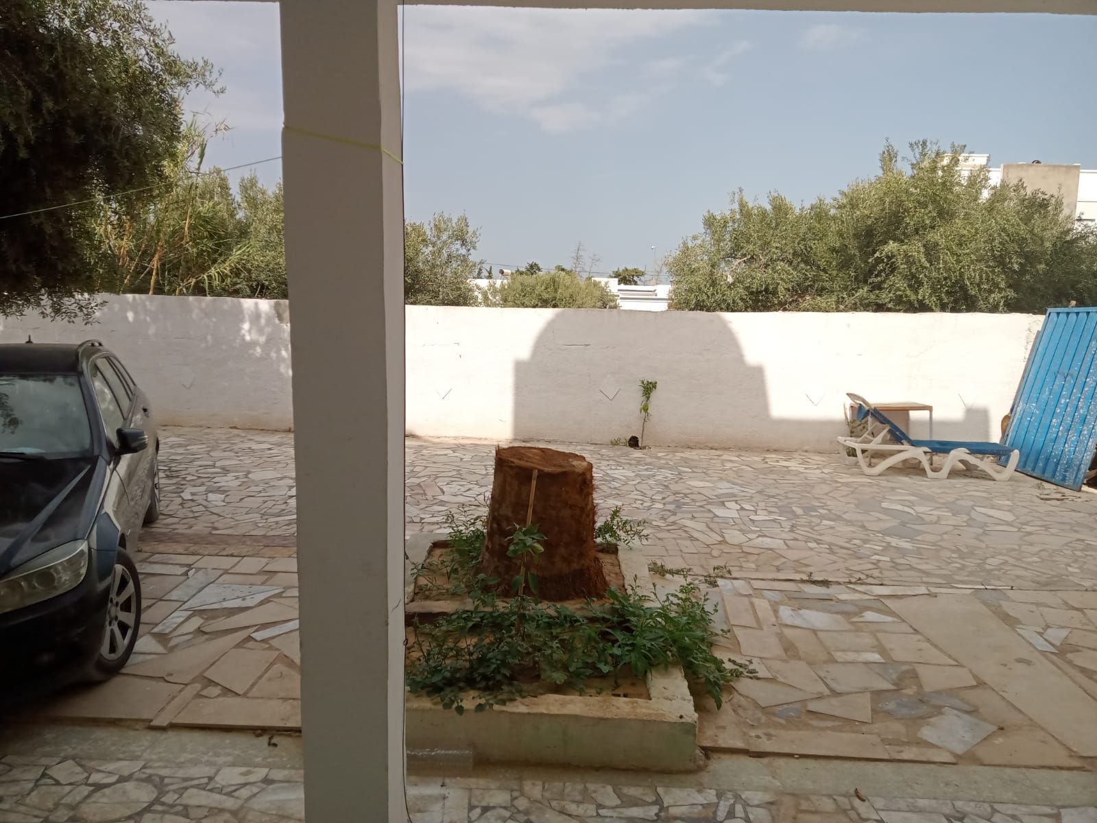 WhatsApp Image 2021-08-24 at 15.28.12 (1)