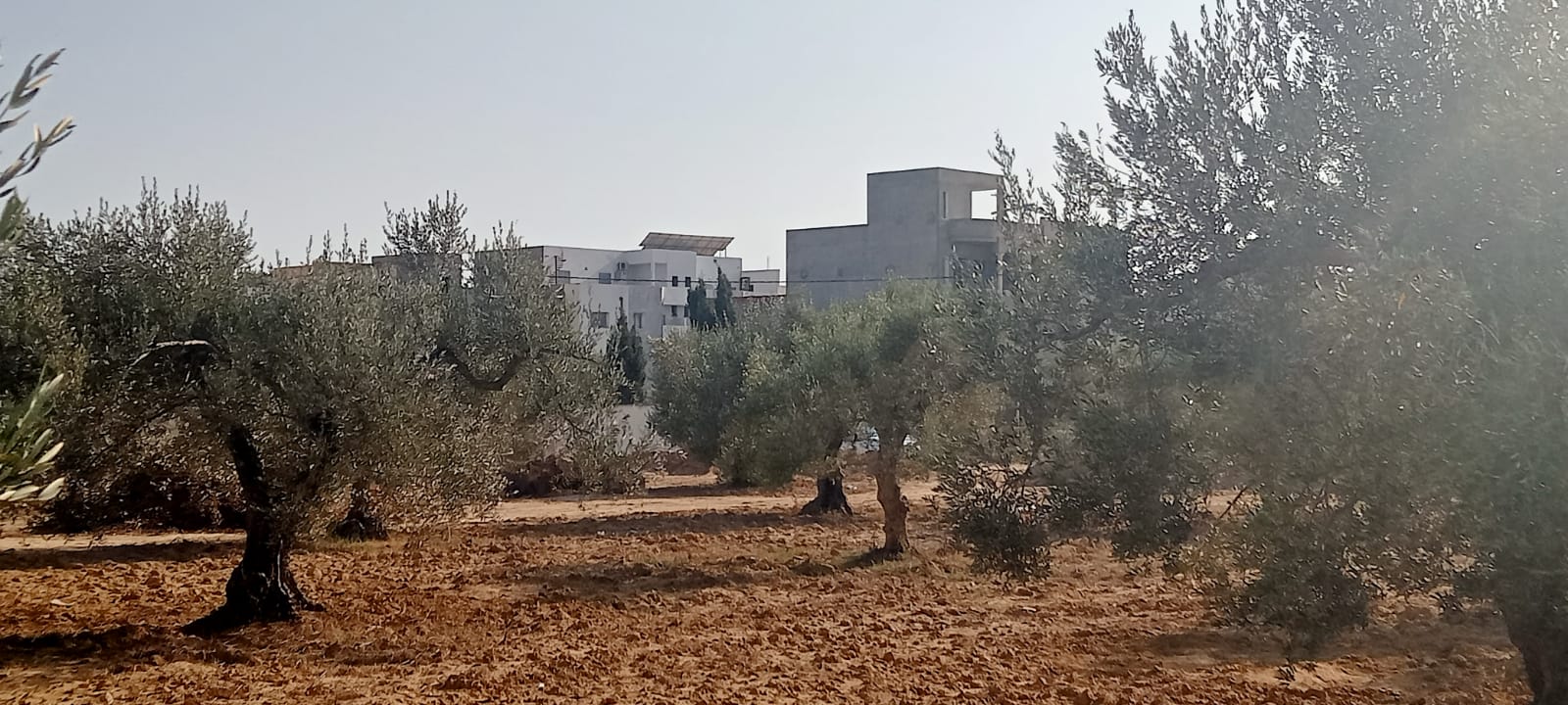 5ea29e8d-8394-4de0-866e-38af96972a47