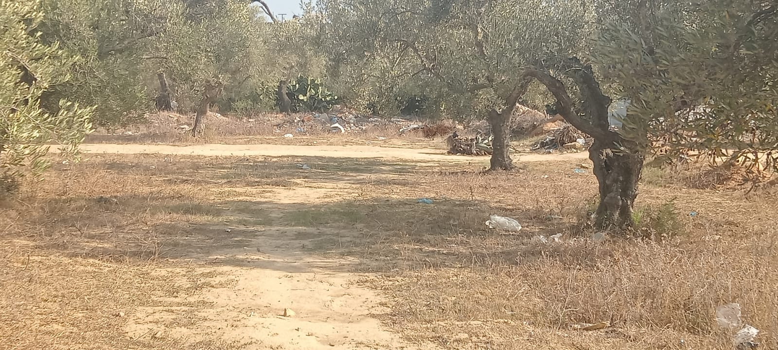 974ca6e7-8b83-4e3d-9823-c6a65f8a8788