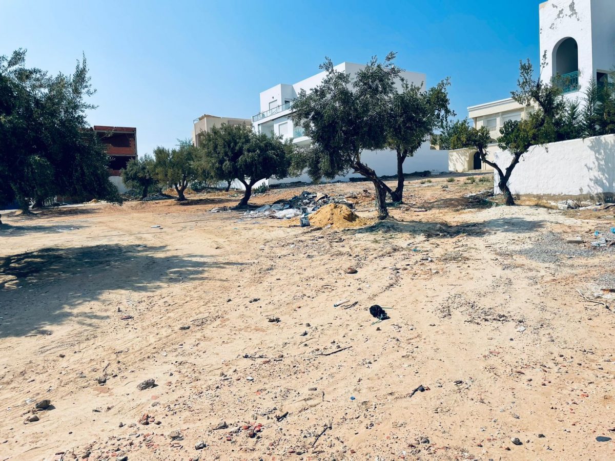 terrain a vendre a mrezga