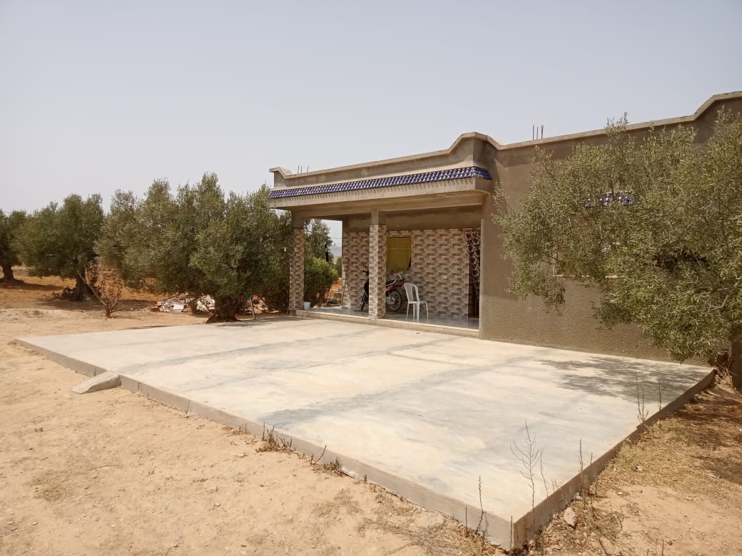 WhatsApp Image 2021-08-13 at 14.32.47 (2)