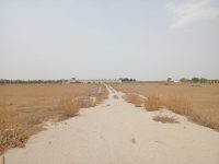 WhatsApp Image 2021-08-11 at 11.40.42 (1)