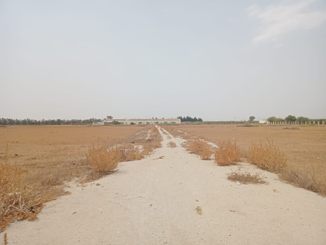 WhatsApp Image 2021-08-11 at 11.40.42 (1)