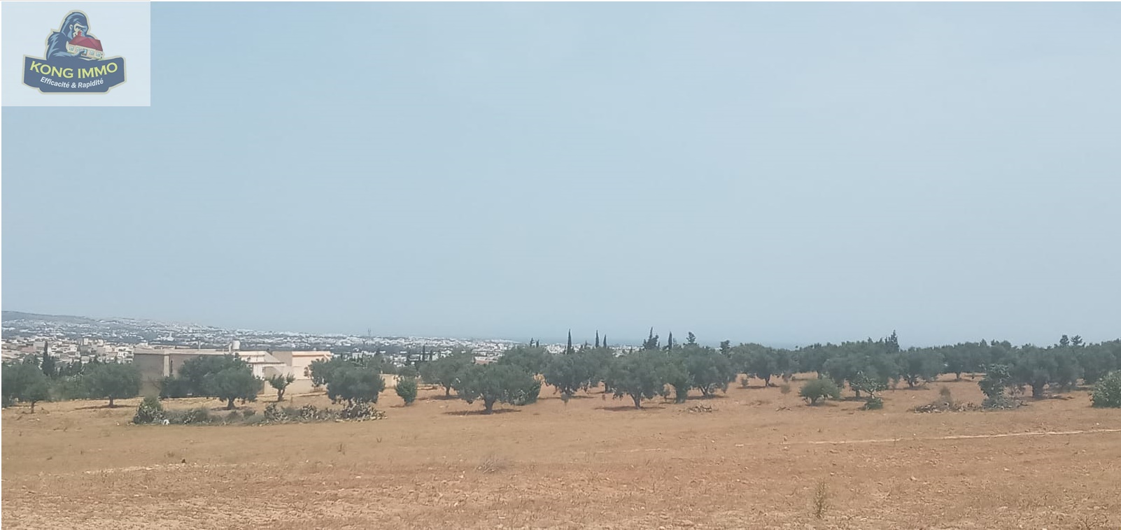 29d1cc3b-3b32-471b-b761-d34aa7883197