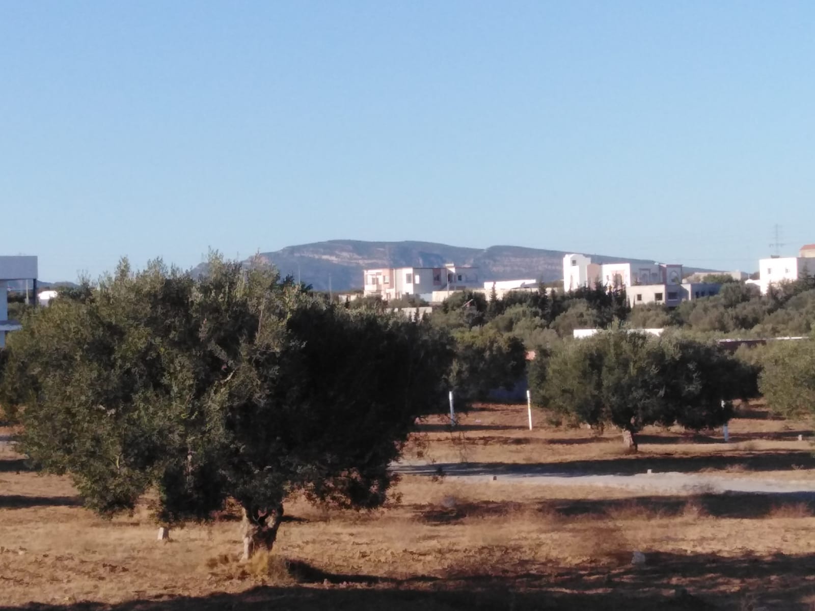 WhatsApp Image 2021-10-28 at 16.09.50