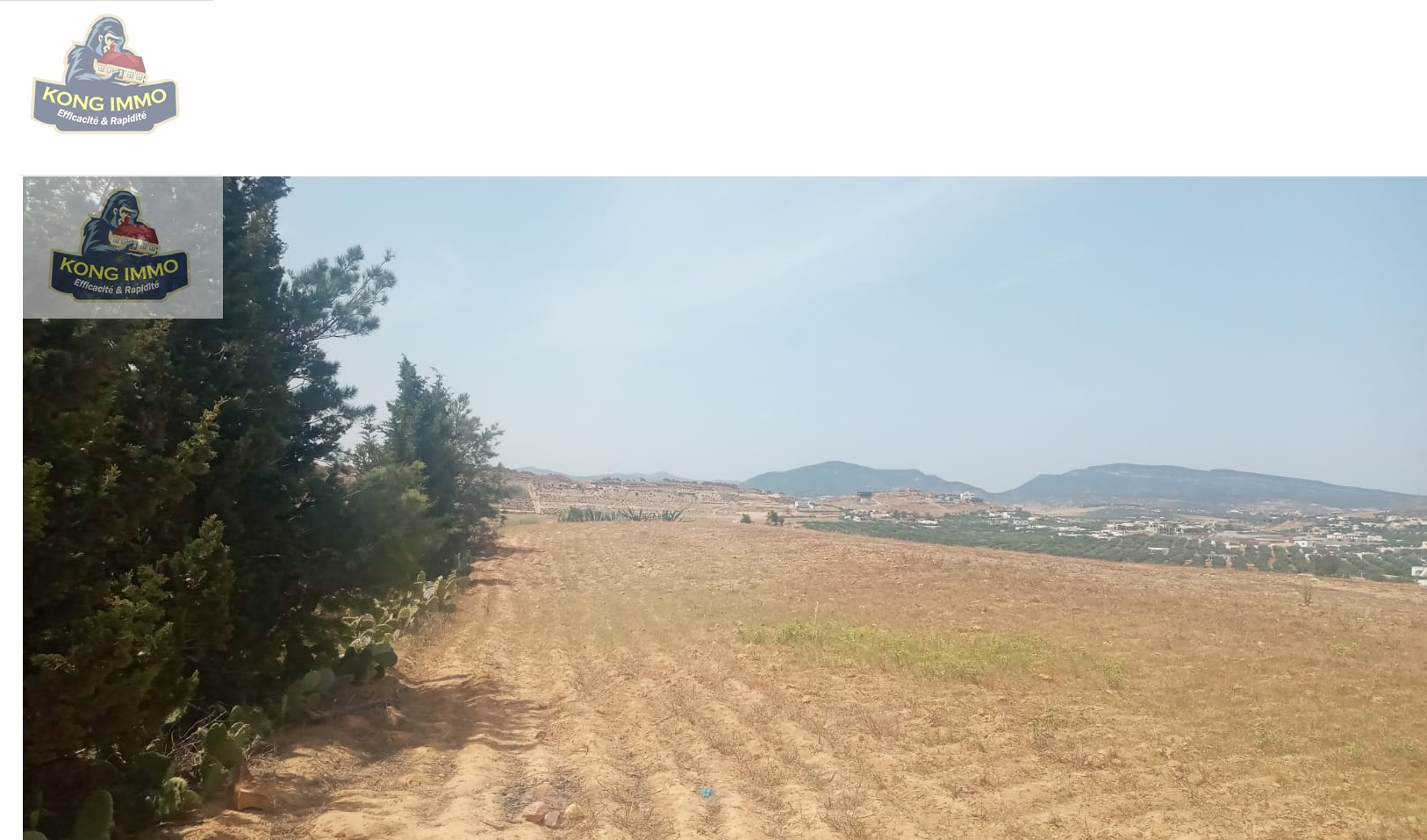 e3771e93-8c18-49c1-8843-d79caa6e95f3