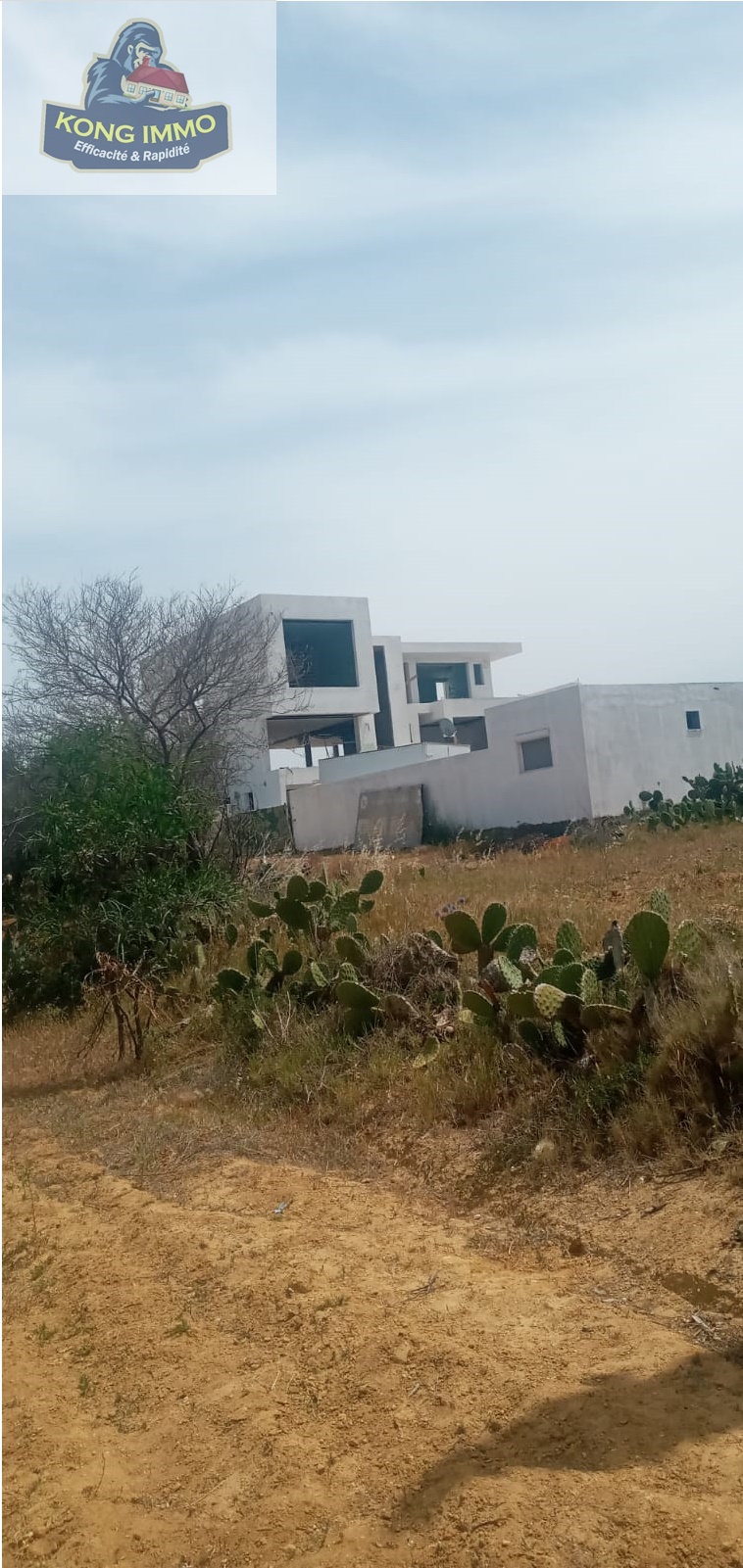 ff3f54b1-4e2f-4401-8302-331db5d201be