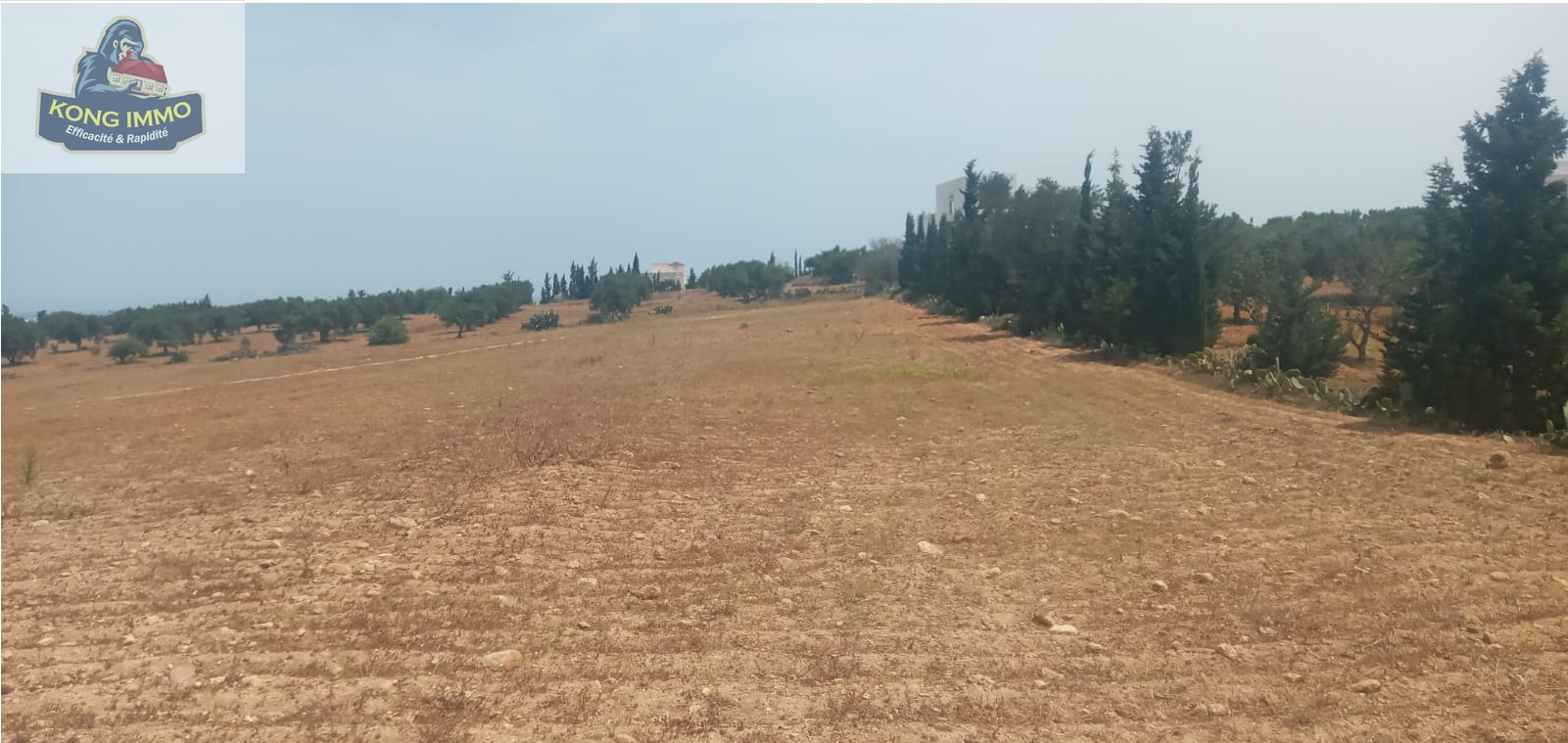 ccc064e3-cdf1-449d-ac3f-6cf2b9c44eb3