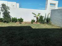 0d0dc2e5-6278-4871-9fe1-0e0cfb45905d