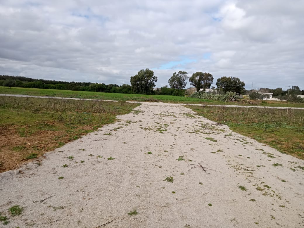 Disposition des terrains sur la plage de kerkouane 21848929