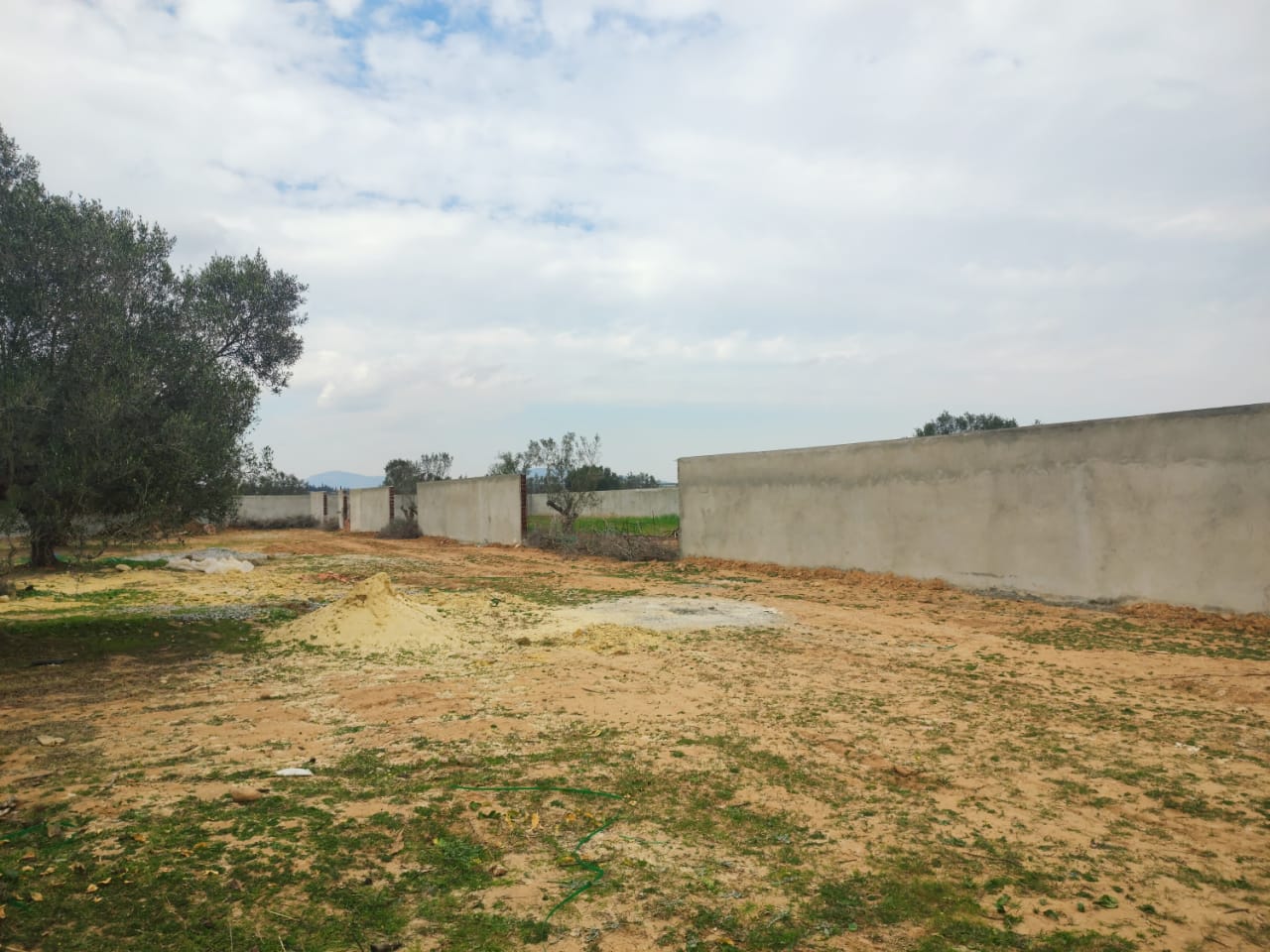 97d8c0c3-d10c-4fb8-b840-f5971e8bcd8c