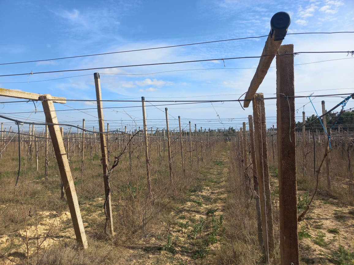 WhatsApp Image 2022-02-06 at 14.22.23