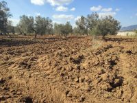 4c5911c3-81f8-49d7-9ff0-5310e0de9186