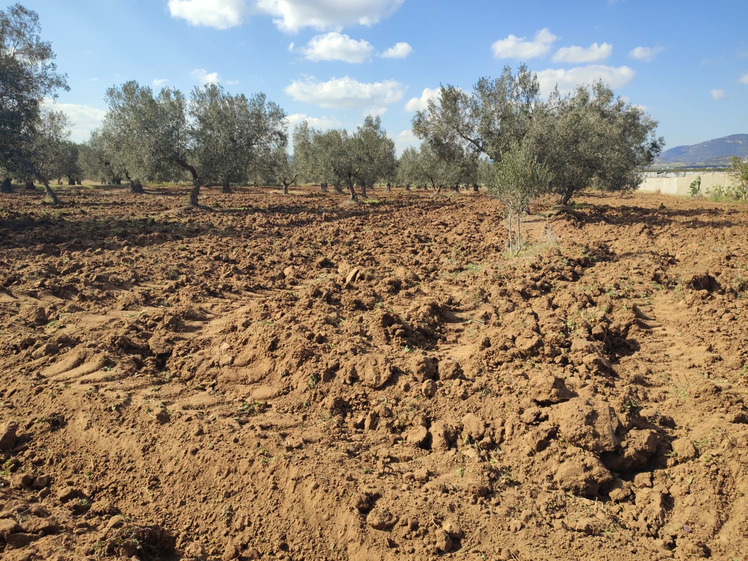 4c5911c3-81f8-49d7-9ff0-5310e0de9186