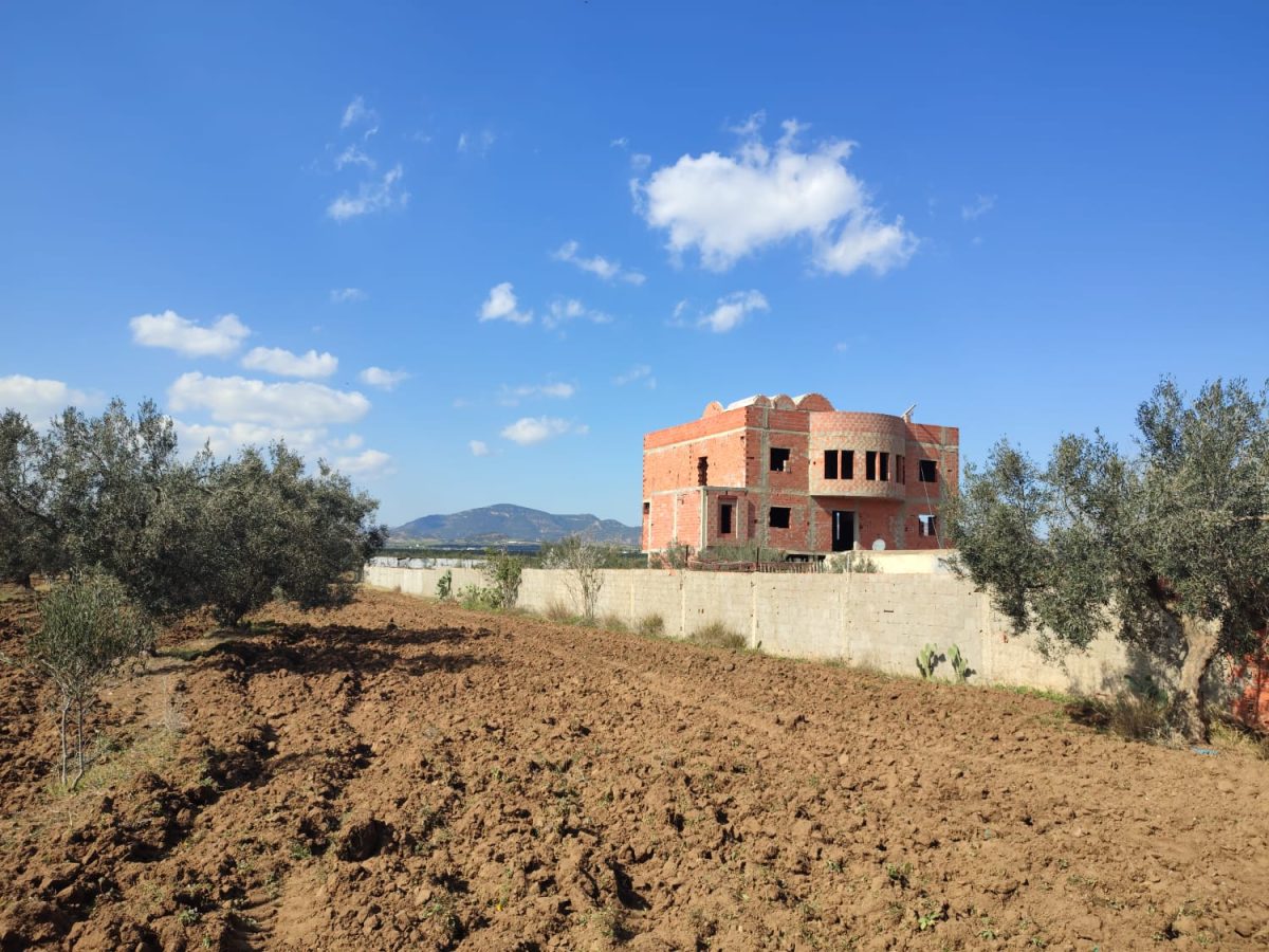 1 hectare  et  2500 m² à vendre à Hammamet ( ville El Monchar)