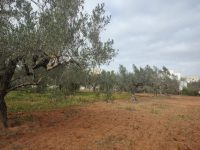 717b2144-10b5-483e-997b-349a70d77341