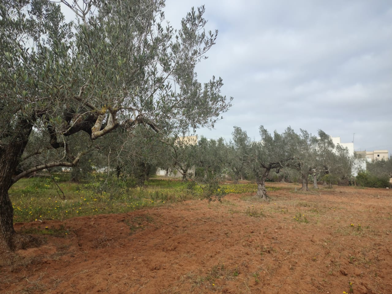 717b2144-10b5-483e-997b-349a70d77341