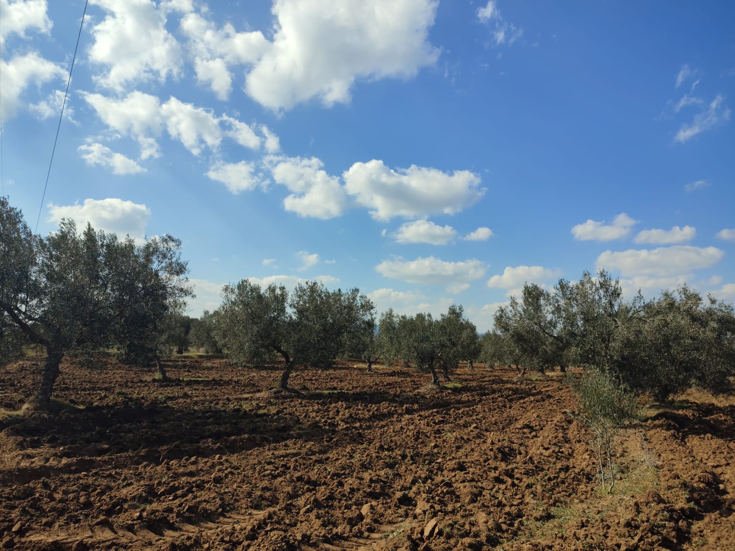 c781ecf4-e257-4717-bded-ecf1a47496ec