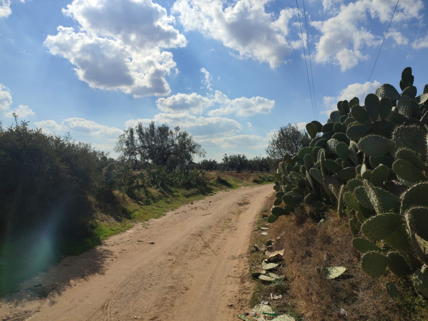 02f4630c-728b-4d64-861b-9640d1499605