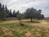 86213a7d-3e9f-4840-bced-15a08fc613b5