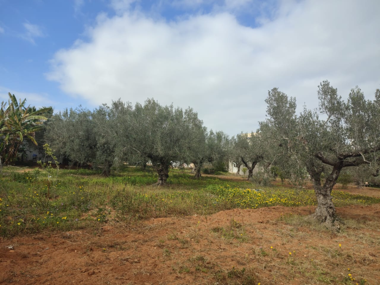 70971065-f8d6-4659-9b7b-2cd1dc6a60e1