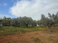 404bfffc-79a8-4af1-af17-4b1e9ebf2da6