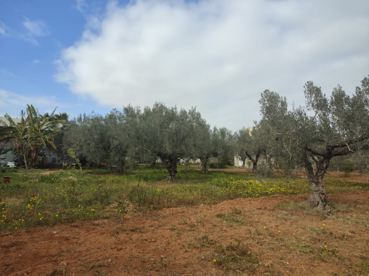 404bfffc-79a8-4af1-af17-4b1e9ebf2da6