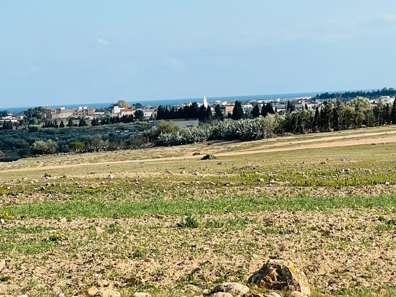 080c0e20-bd6c-4f37-b8bf-dec41dc2abbf