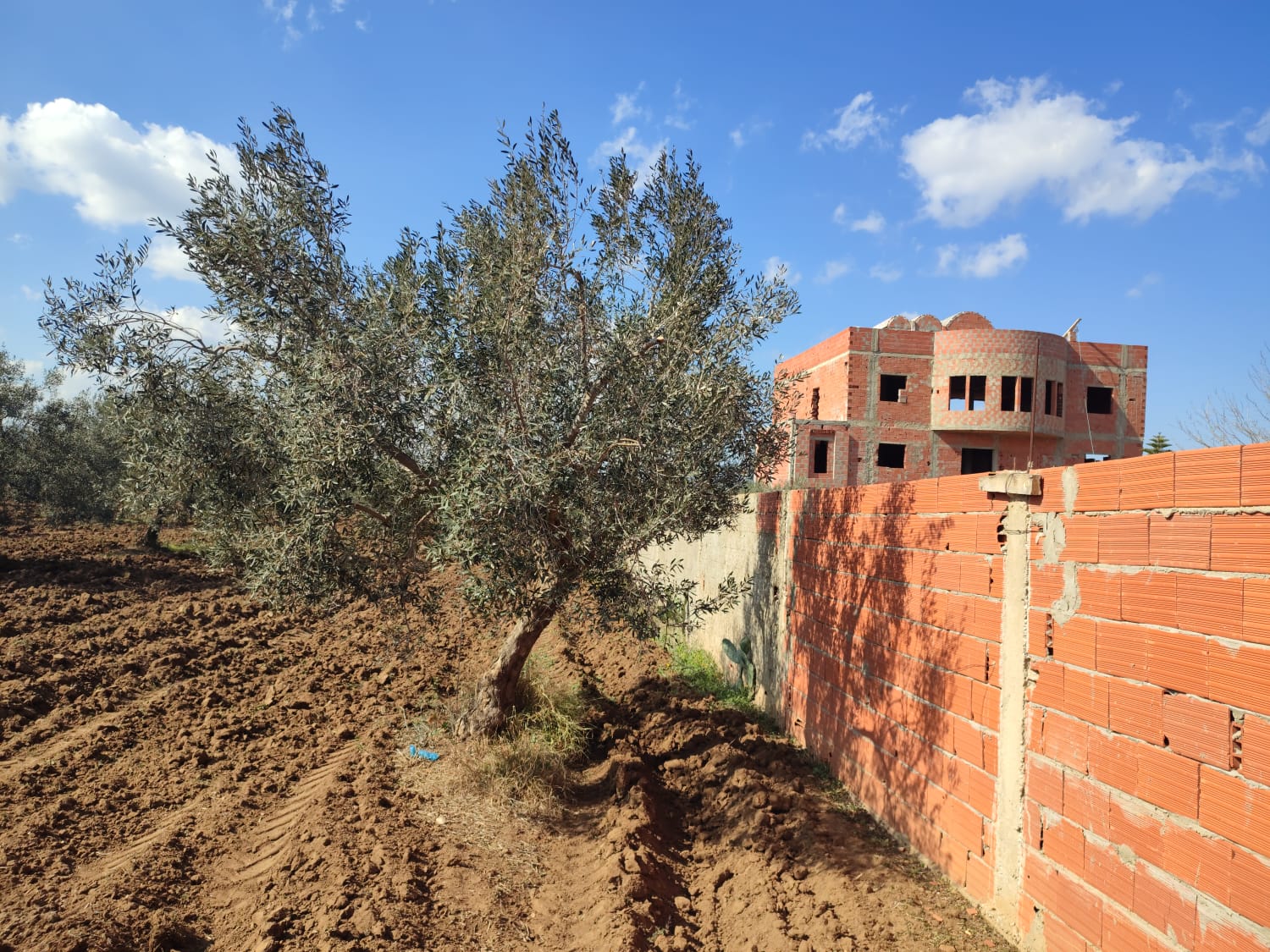 ec6b74b6-b7fb-4b5b-931b-d237c1c90f67