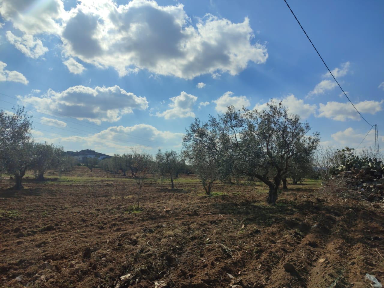 f5ddb0da-e04b-40e1-8b1a-2dab8b841aa4