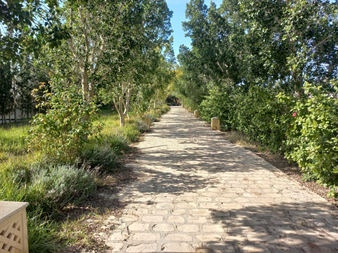 WhatsApp Image 2022-02-06 at 14.22.28